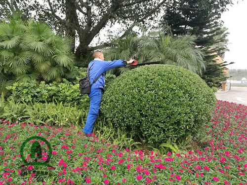 園林綠化養(yǎng)護網(wǎng),公路綠化養(yǎng)護,景致花園綠化,庭院綠化施工養(yǎng)護,小區(qū)