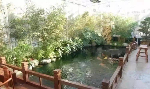 經(jīng)驗 養(yǎng)魚10年的 過來人 ,告訴你別觸碰的9大 雷區(qū)