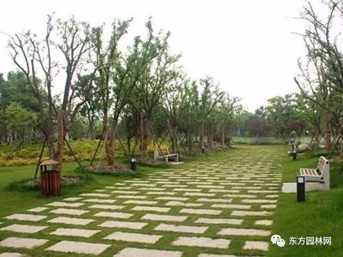 原來園林施工全過程是這樣的,看完一次就懂了