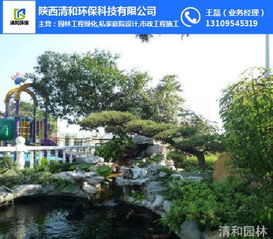 城市綠化工程,綠化工程,清和園林品種齊全
