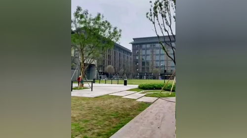 施工現(xiàn)場(chǎng)實(shí)拍 綠化工程 園林綠化 綠化苗木 園林景觀 園林景觀工程