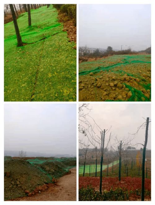 荒山綠化項目 園林處公園西山 大氣污染防治整改情況