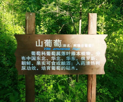 解讀園林綠化施工全過程