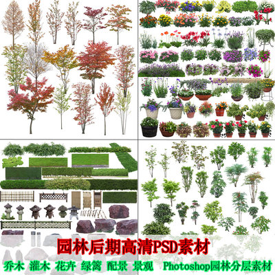 園林景觀設(shè)計PSD模板樹木植物近景喬木花卉綠化效果圖PS后期素材