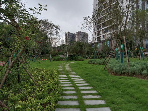 人均公園綠地14.1平 綠色瀘州 建設(shè)卓有成效