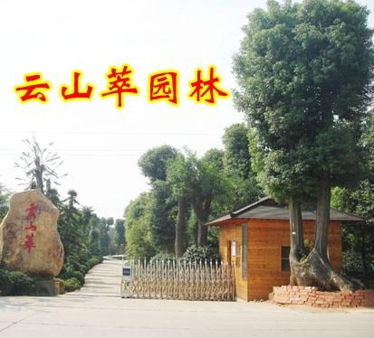 長沙云山萃園林綠化工程