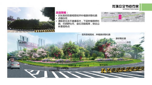 世界人居網(wǎng) 精品丨廣東深圳 北環(huán)大道綠化品質(zhì)提升工程