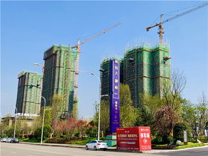 徒步5小時 高坪23個在建樓盤3月最新進度一覽