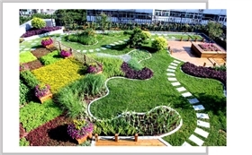 企業(yè)文化|企業(yè)文化|深圳市宏浩園林建設(shè)