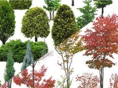 重慶園林公司