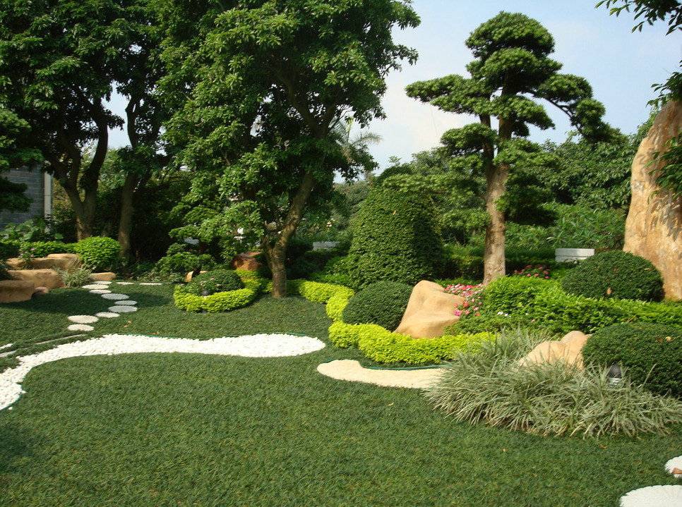 【深圳庭院綠化玉龍草的種植養(yǎng)護(hù)與應(yīng)用】價格_廠家 - 中.