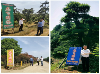 湖南龍飛園林綠化工程獲“誠(chéng)信示范單位”殊榮