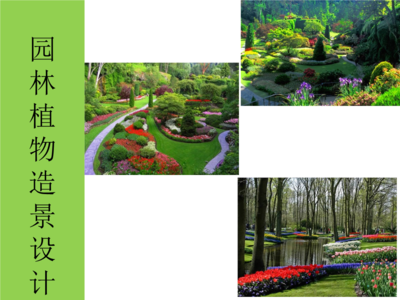 園林植物造景的設(shè)計(jì)方法.ppt