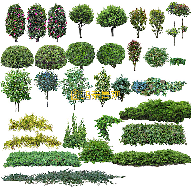 園林景觀設(shè)計PSD分層樹木花草植物立面圖.