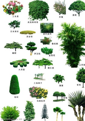 園林景觀(guān)圖片