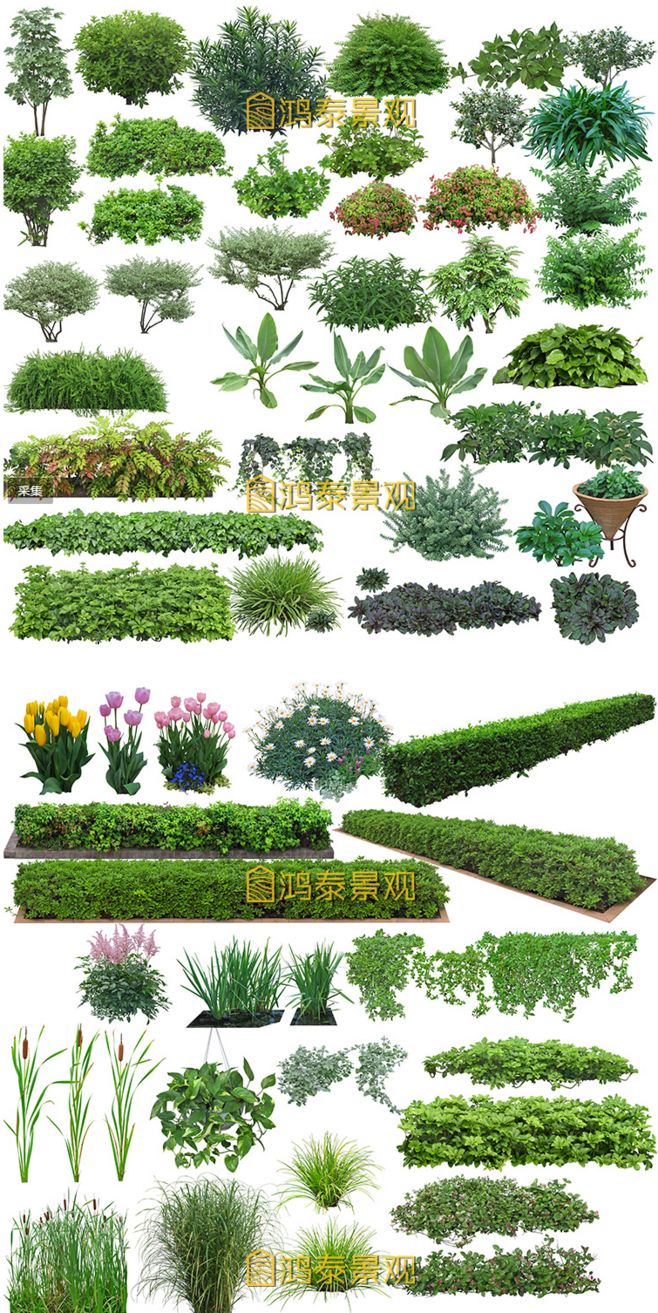 園林景觀(guān)設(shè)計(jì)PSD分層樹(shù)木花草植物立面圖.