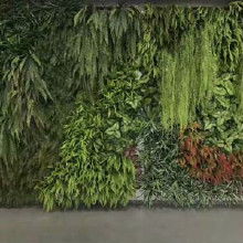 仿真植物發(fā)財(cái)樹(shù)價(jià)格 仿真植物發(fā)財(cái)樹(shù)批發(fā) 仿真植物發(fā)財(cái)樹(shù)廠(chǎng)家 