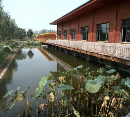 天工園林景觀公司南陽園林綠化公司 專業(yè)園林綠化公司 河南