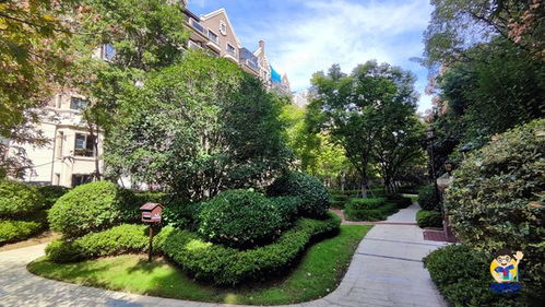 綠化太多是什么體驗 實探公園中再造園的濱湖區(qū)信達(dá)公園里