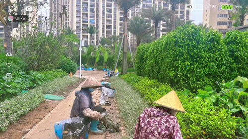 煙雨蒙蒙,綠化種植 愿你走過的每一處皆是風(fēng)景 花漾里景觀園林更 新中