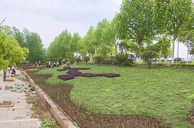 推窗見(jiàn)綠 出門(mén)見(jiàn)景 孝昌加快綠化美化 提升城市“顏值”