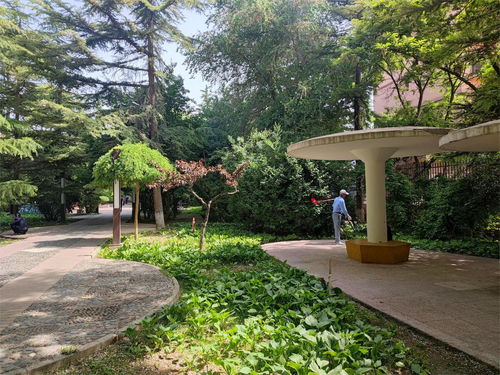 安寧區(qū) 口袋公園 開(kāi)啟城市綠化新篇章 居民幸福感不斷提升