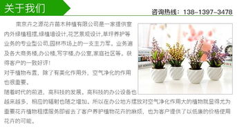 城市園林綠化設(shè)計(jì)公司 卉之源 南京城市園林綠化設(shè)計(jì)
