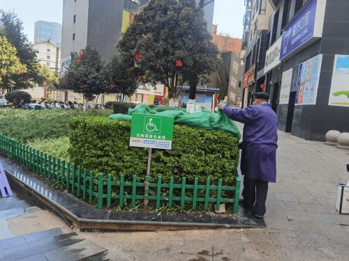 社區(qū)組織物管公司拆除園林綠化植物冬季防寒防凍設(shè)施