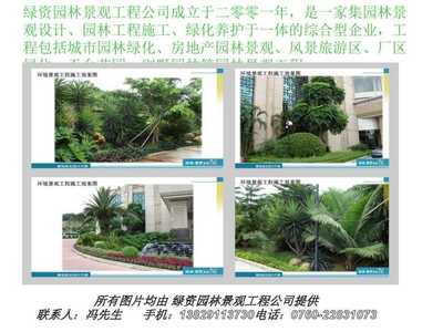 綠資景不雅植物綠化景不雅工程:假日酒店_園林景不雅_景不雅設(shè)計資料