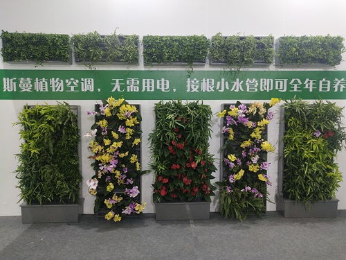 懷化植物墻 中蘭林立體 植物墻制作