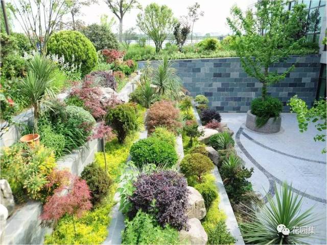 微園林|庭院造景植物設(shè)計指南_變化