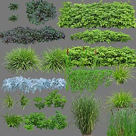 植物角圖片_植物角素材_植物角模板免費下載