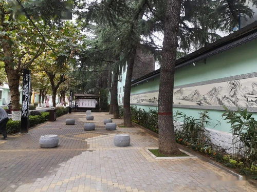 回望2020 ,市政設(shè)施 園林綠化日新月異
