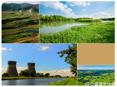 小醬油學(xué)價(jià)值: 東方園林價(jià)值投資報(bào)告(002310) 一、【公司簡(jiǎn)介】 公司是一家擁有園林工程設(shè)計(jì)甲級(jí)資質(zhì)和城市園林綠化一級(jí)資質(zhì)的園林綠化企業(yè)。公司積極響應(yīng)國(guó)家推進(jìn)海綿城市建. - 雪球