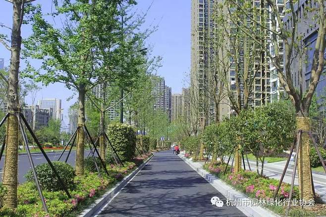 【優(yōu)秀工程】2016年度杭州市優(yōu)秀園林綠化工程道路組金獎--新塘路(新風(fēng)路-新業(yè)路)綜合整治工程景觀綠化I、II標(biāo)段 : 建設(shè)單位:杭州市江干區(qū)道路建設(shè)整治中心 設(shè)計單位:中國美術(shù)學(xué)院風(fēng)景建筑設(shè)計研究院