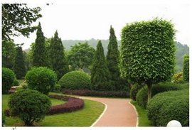 呼和浩特市城市園林綠化建設(shè)管理辦法
