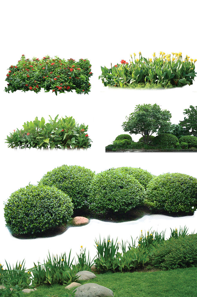 高清園林植物草坪設計素材-眾圖網(wǎng)