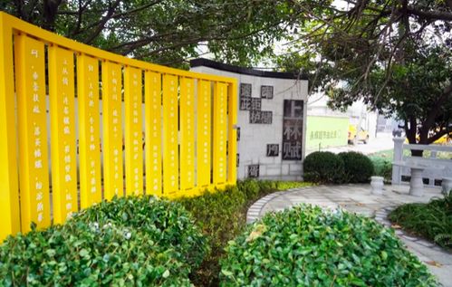 世園聚焦 600 見縫插綠 讓城市 長 在公園里
