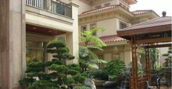 海珠區(qū)專業(yè)綠化養(yǎng)護,除草砍樹種花種草,魚池假山設計