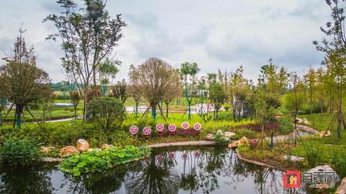 自貢首個(gè)下沉式污水處理廠 景觀公園內(nèi)暗藏的 玄機(jī)