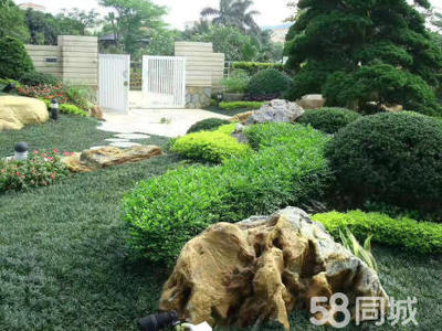 園林景觀設(shè)計(jì) 綠化工程 別墅造景 修剪養(yǎng)護(hù)