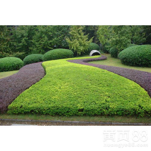 【蜀山園林綠化設(shè)計(jì)】- 
