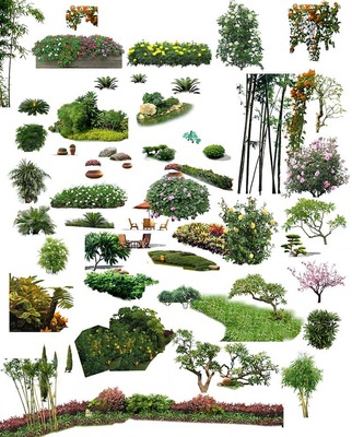 園林景觀設(shè)計PSD古建樹木花草人物鳥瞰圖效果圖ps后期分層素材