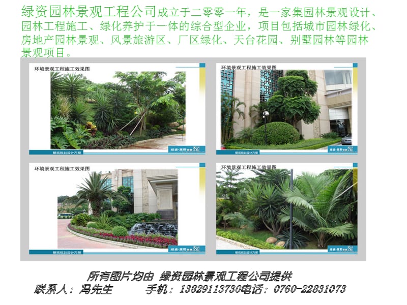 綠資景不雅植物綠化景不雅工程:假日酒店_園林景不雅_景不雅設計資料[最新]