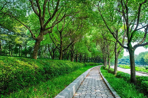園林綠化景觀設(shè)計中的 配色 技巧