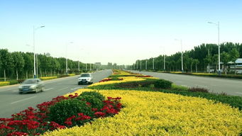 園林縣城創(chuàng)建在行動(dòng) 這八項(xiàng)重點(diǎn)綠化工程,讓磁縣城更美